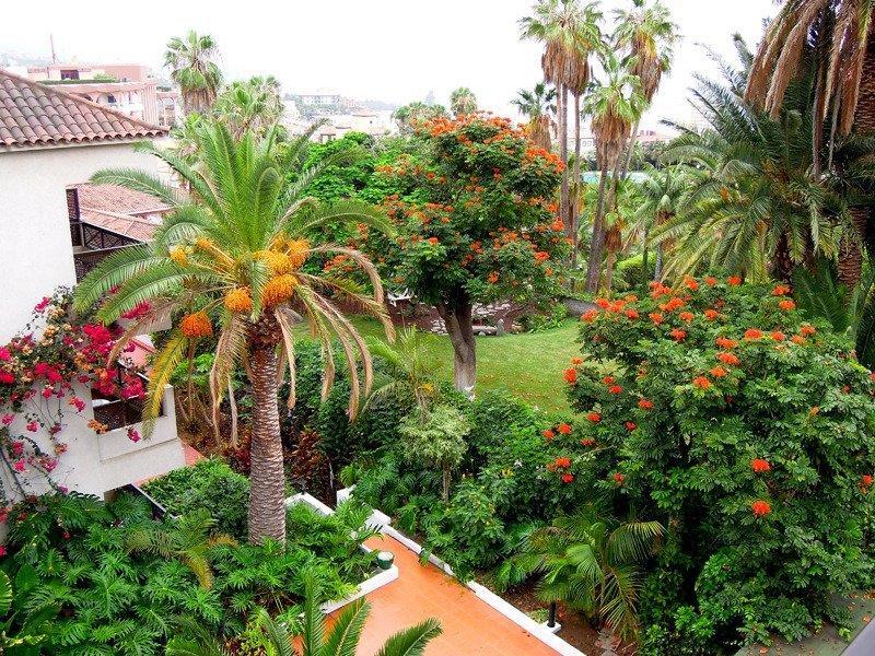 Parque San Antonio Hotel Puerto de la Cruz  Buitenkant foto